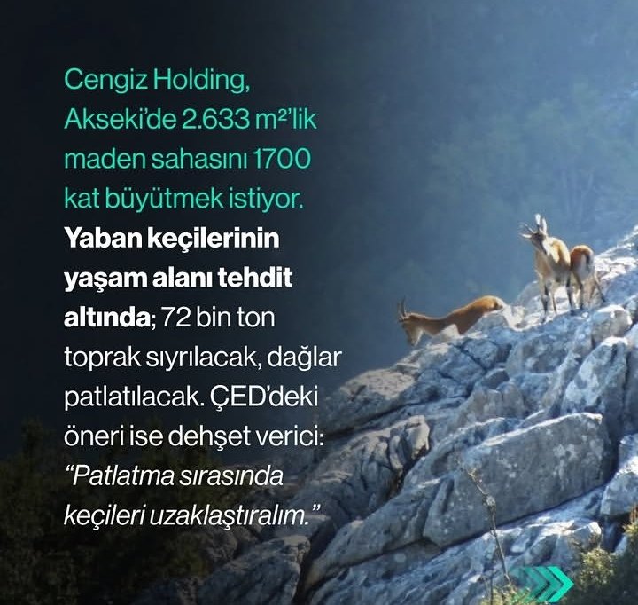 serefyalcin18's tweet photo. @Haluk_Akbulut_ Bunlar ne https://t.co/WoaaLzTBS2