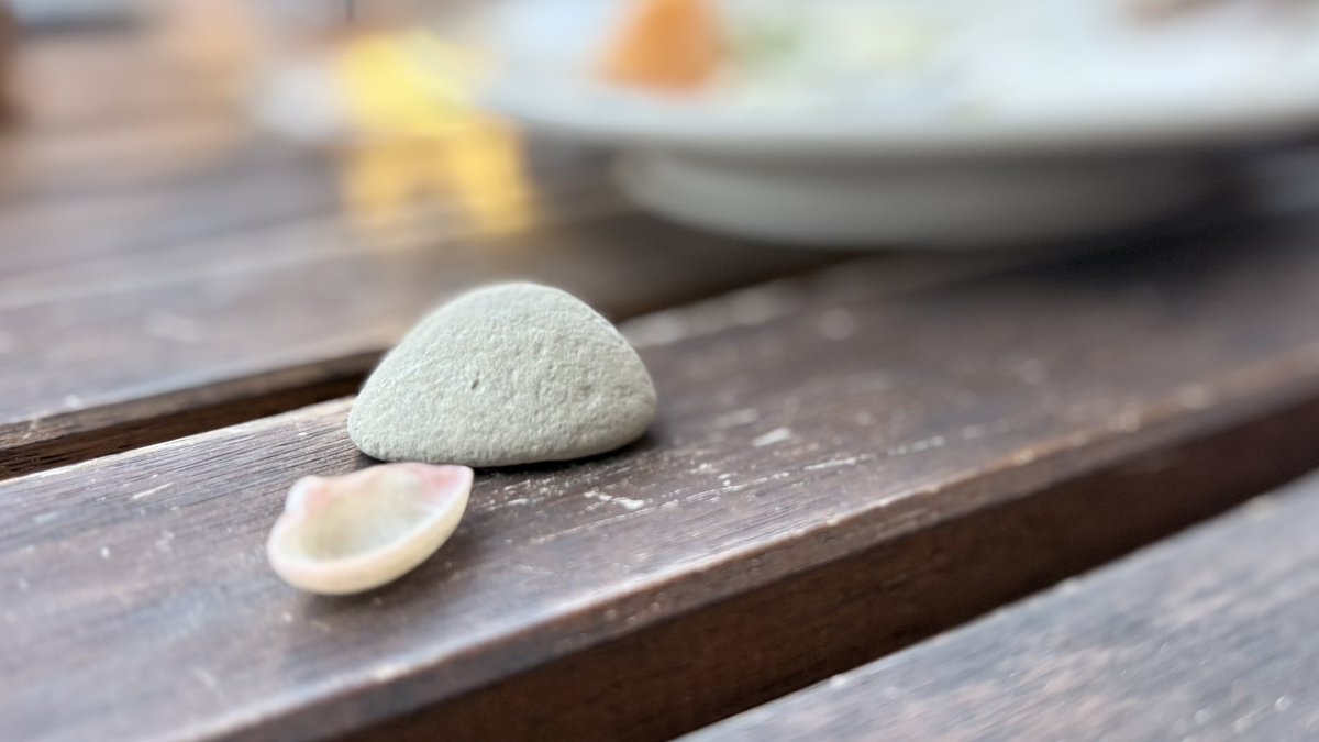 海でひろった貝みたいなかたちの石と、 石みたいに質量のある貝