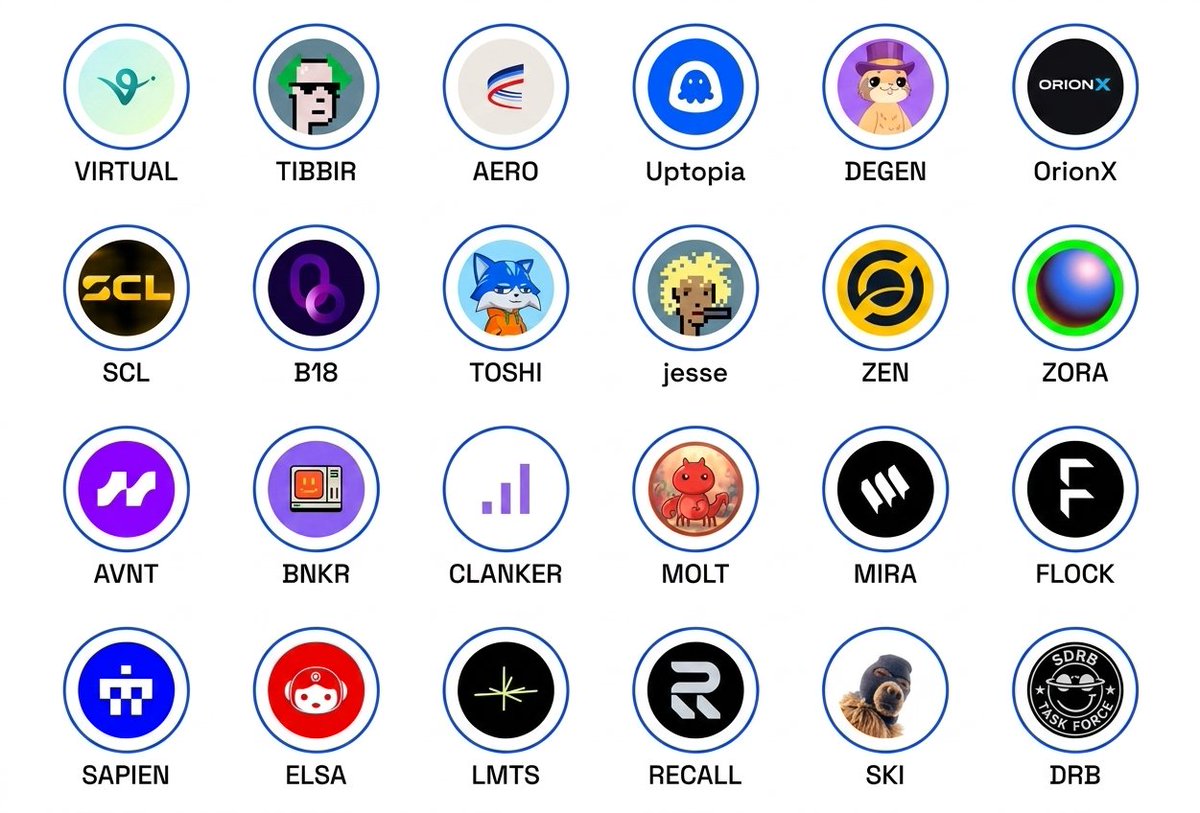 Mahmood76349201's tweet photo. Trending projects on #Base last 7D

$VIRTUAL | $TIBBIR | $AERO | $UPTOPIA | $DEGEN | $ORIONX
$SCL | #B18 | $TOSHI | $JESSE | $ZEN | $ZORA
$AVNT | $BNKR | $CLANKER | $MOLT | $MIRA | $FLOCK
$SAPIEN | $ELSA | $LMTS | $RECALL | $SKI | $DRB

#Web3  #Blockchain #Base #Onchain https://t.co/LhMkgCOvkR