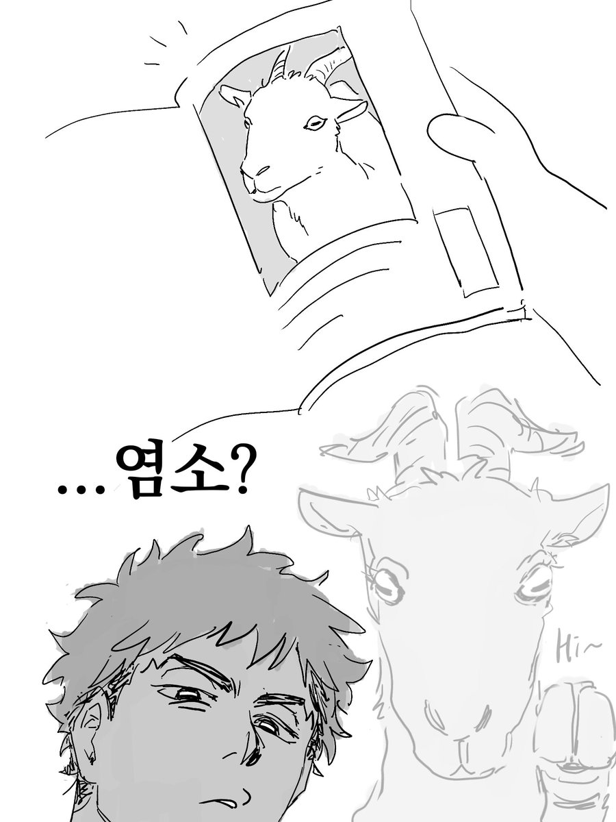 복크크 tweet media