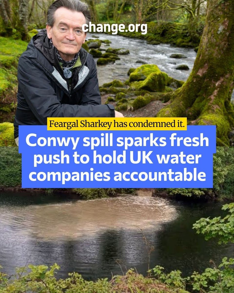 Change.org UK tweet media