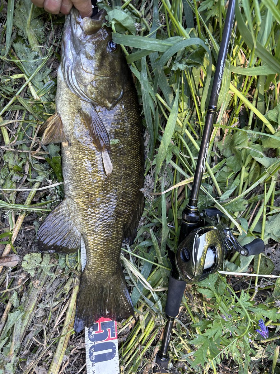 カズマル٩( 'ω' )و🎣 tweet media