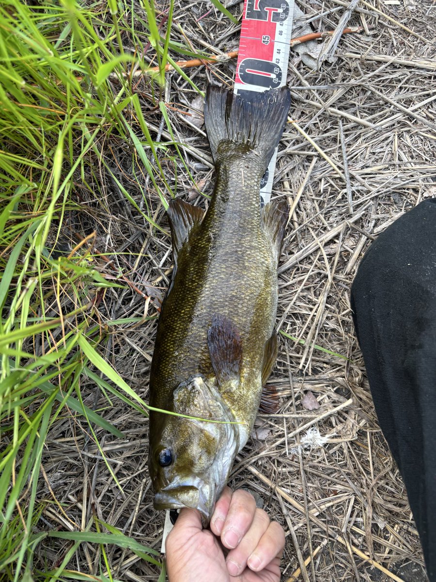 カズマル٩( 'ω' )و🎣 tweet media