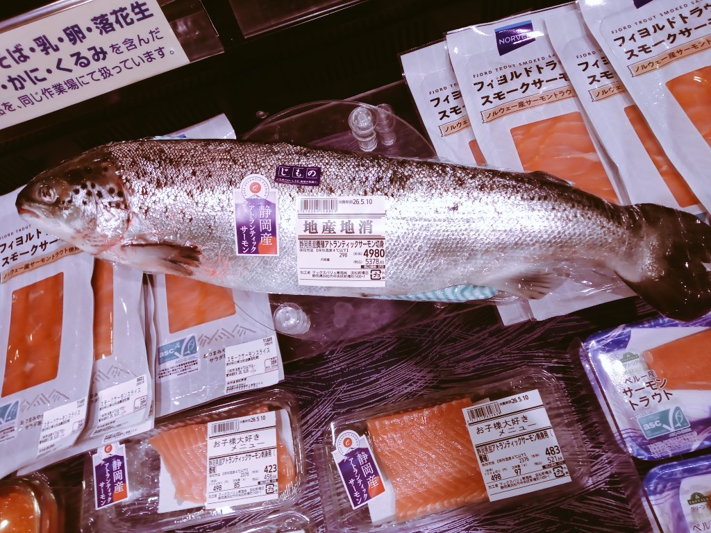 レボ おやじ tweet media