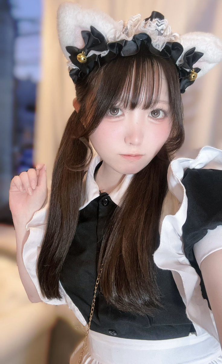 🐈‍⬛ろぐいんです🐈‍⬛ ねこねこねこねこねこ 本日は23時まで