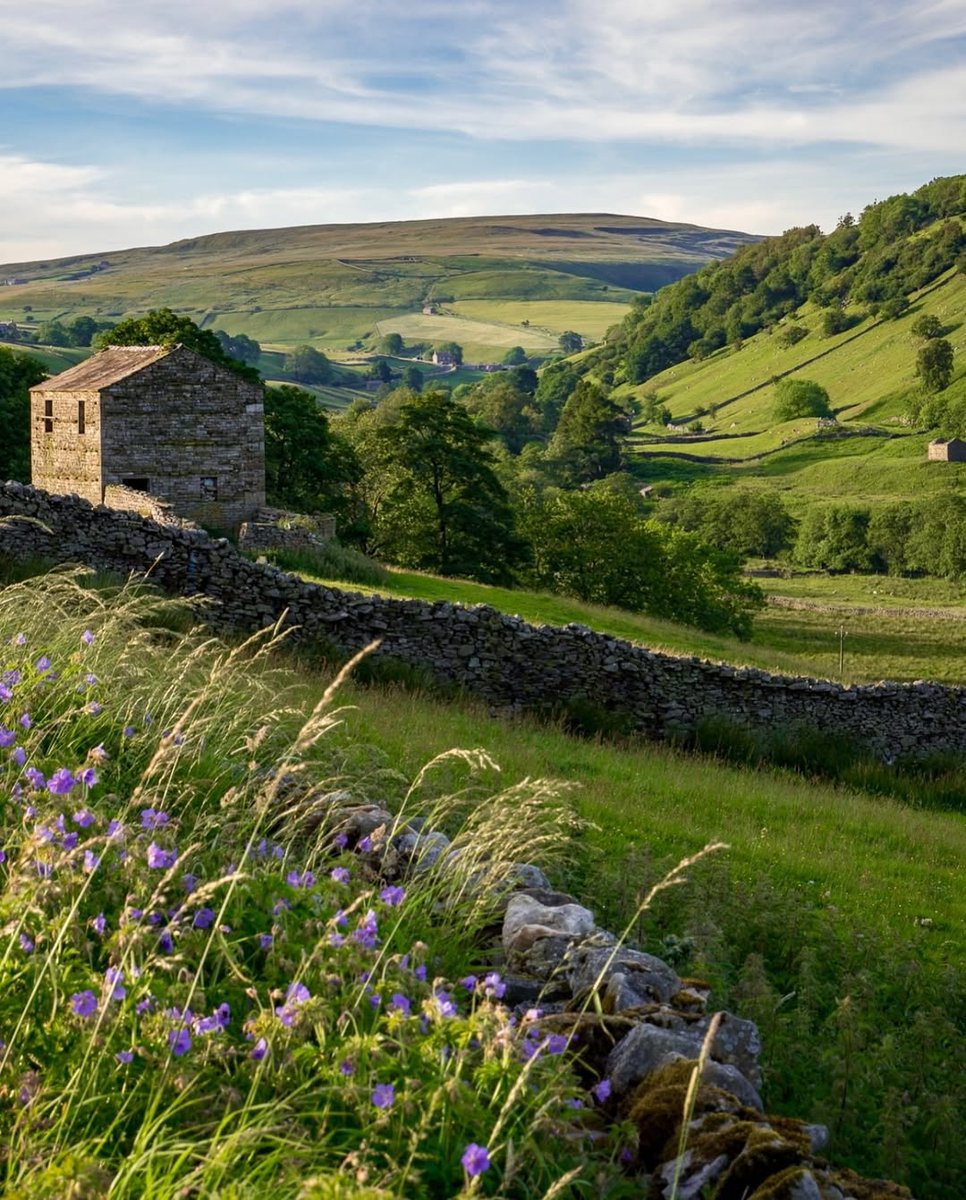 North Yorkshire tweet media