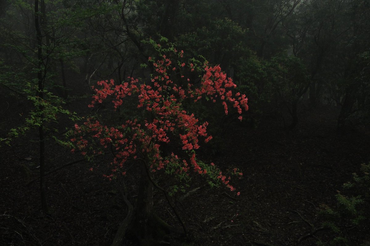 8703photography tweet picture