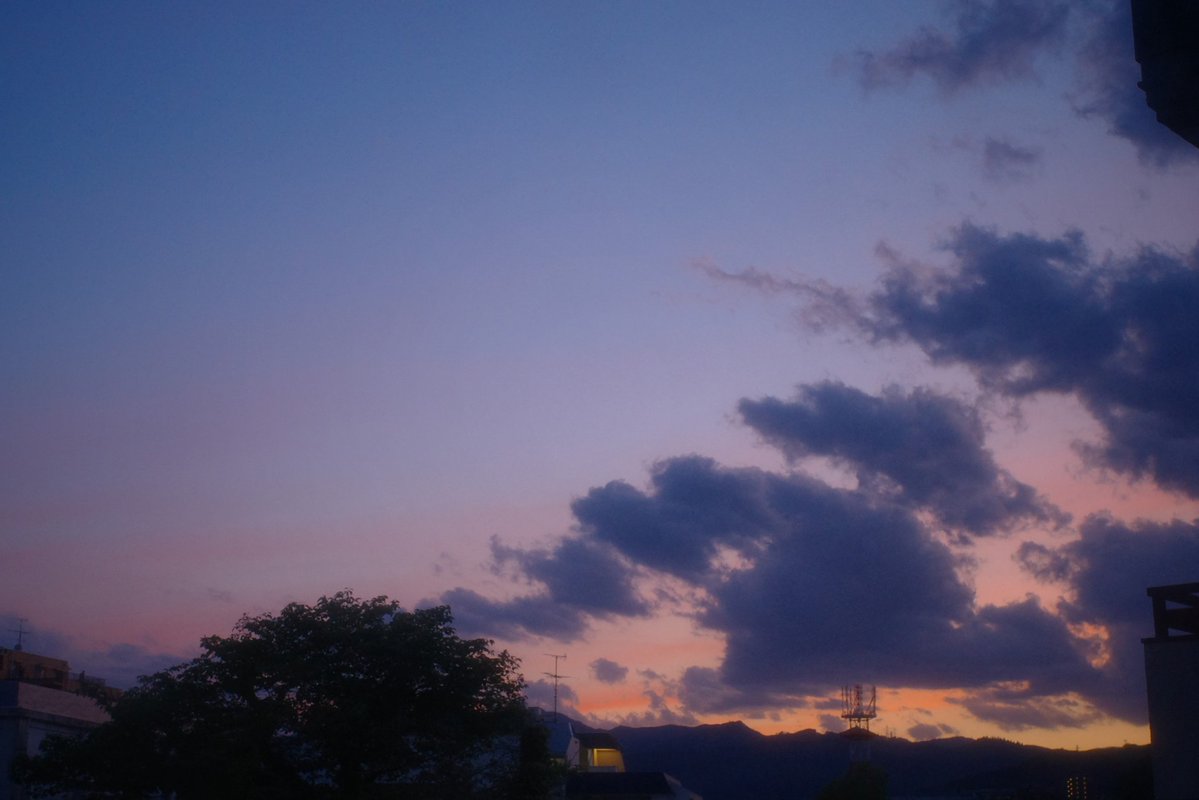 青 tweet media