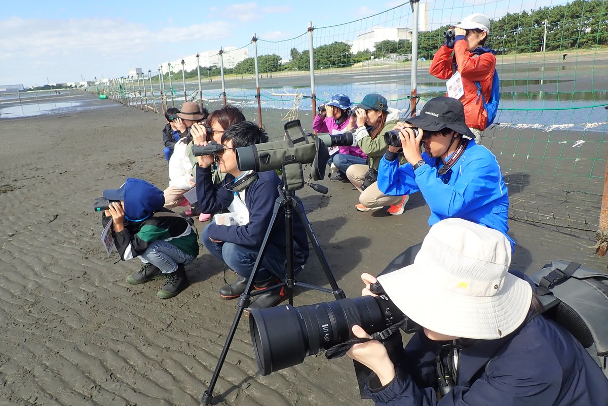 sambanze's tweet photo. 明日10日開催の 「 #三番瀬 鳥と海の生きものアートフェスティバル」#鳥海アートフェス 、「とりうみ観察会」「とりうみアート教室」どちらも当日参加枠がございます！
貝殻でガーデンピックを作ったり、鳥や干潟の生きものを観察したりしたい方、ぜひ来てください！詳しくは→https://t.co/DoaBg9iFtk https://t.co/wOcY6QaSoc