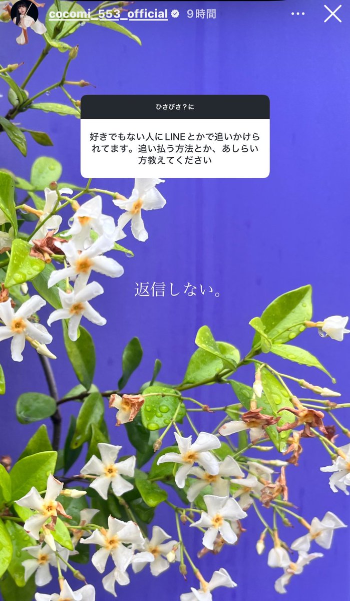 女の本音さん tweet media