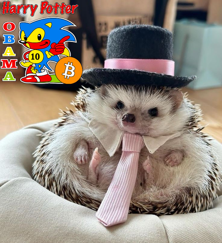 Nosmileclown's tweet photo. Good deal sir tikka $BITCOIN PARABOLIC MOVE
#HarryPotterObamaSonic10inu https://t.co/3WSDxcaEen