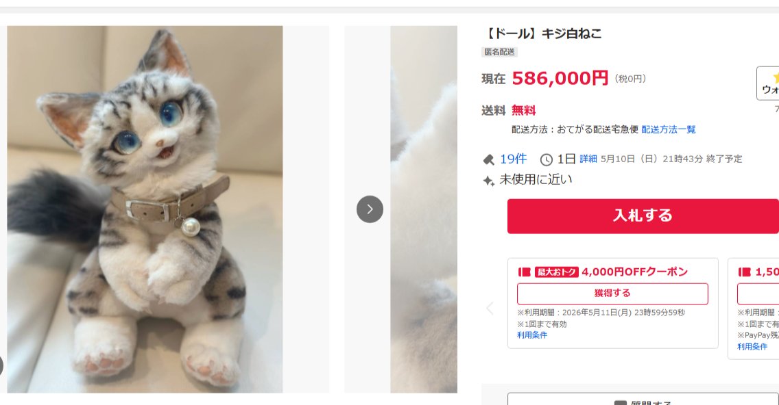 30万円どころか早々に60万円超えそうである アートドール界隈は凄まじい