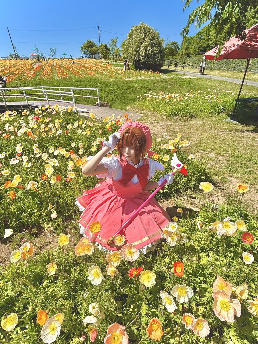 みぃ。ﾁｬ tweet media