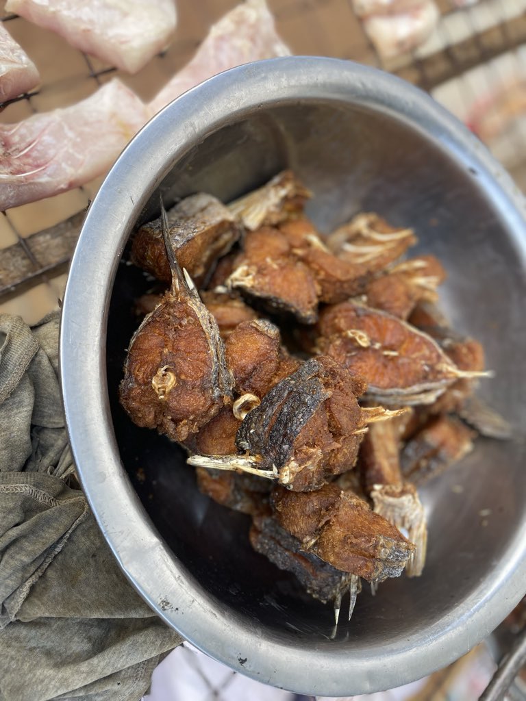 MarekaMalili's tweet photo. Hujui namna ya kuandaa Sato au Sangara vizuri?
Hupendi shombo la Samaki wakiwa wabichi?
Hizi ndio kazi zetu, tupigie tukuandalie.
0762344677 https://t.co/Nl17Y3DDHY