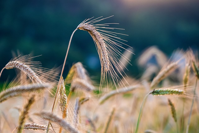 Ethelbert Karlee tweet media