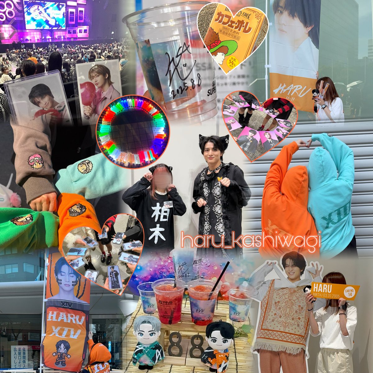 🧡いのみく🧡🦖 tweet media