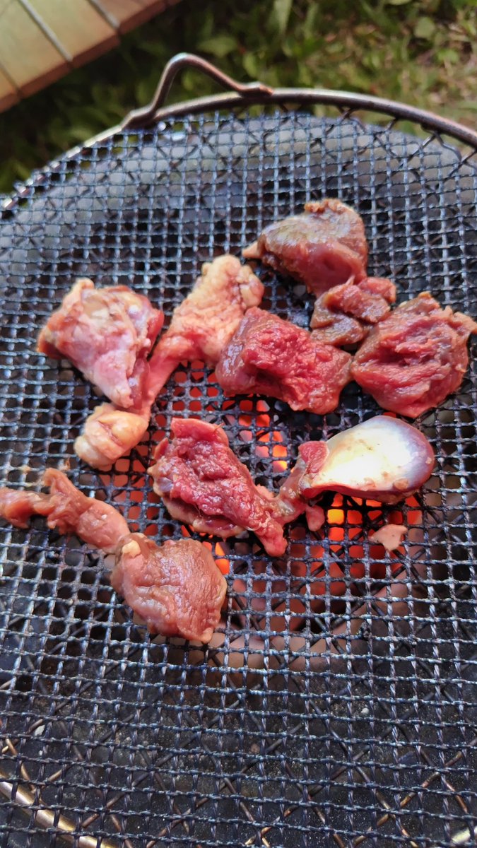 taka_t_eh⛺🐾 tweet media