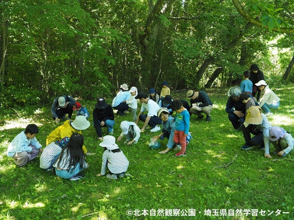 埼玉県自然学習センター【公式】 tweet media