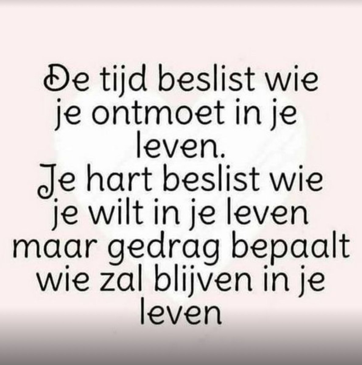 Koos tweet media