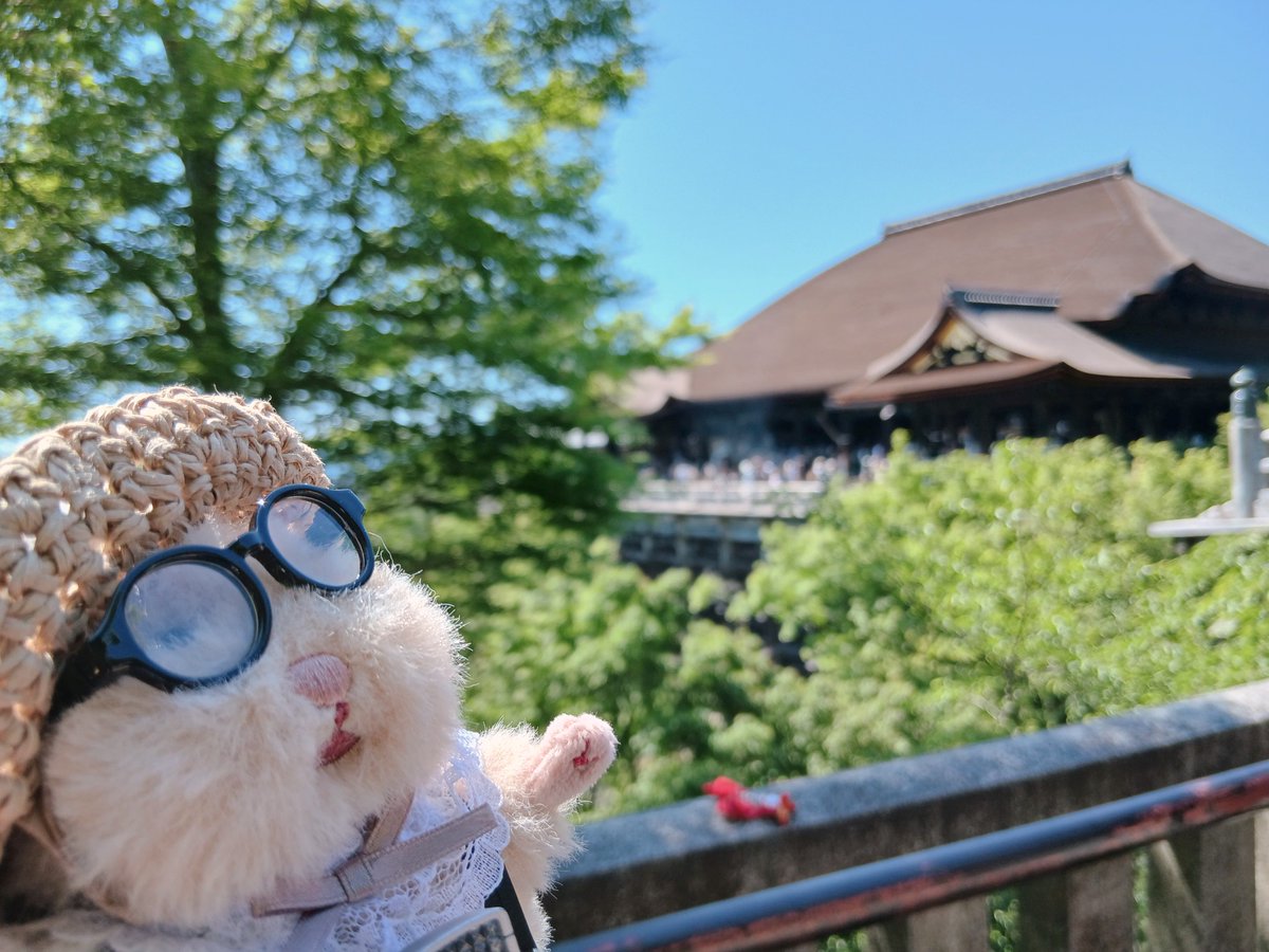 miwanomnom's tweet photo. GW旅行ふりかえり、その④🐹最終日
京都2泊目は、下鴨神社・平安神宮・清水寺へ行ってきたよ❗️
平安神宮の透明な御守りキレイだなあ✨
清水寺近くのお豆腐料理屋さんで湯豆腐と湯葉も堪能したよ🍴ウマ～っ🐹

#ぬい活
#はむにぎり
#ゴールデンウィーク
#京都 https://t.co/uD1vhu4r6e