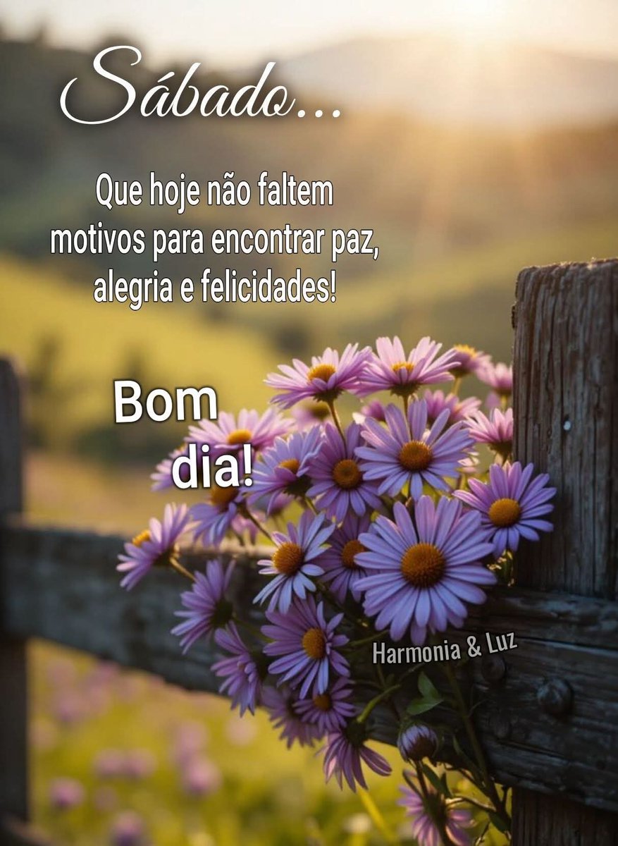 Rays🇧🇷🔴⚫ᶜʳᶠcristão.conservador tweet media