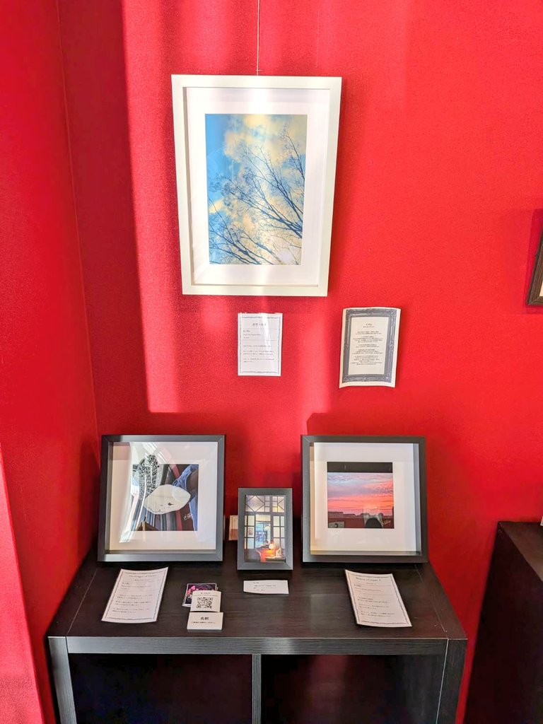 Gallery Kardalio tweet media