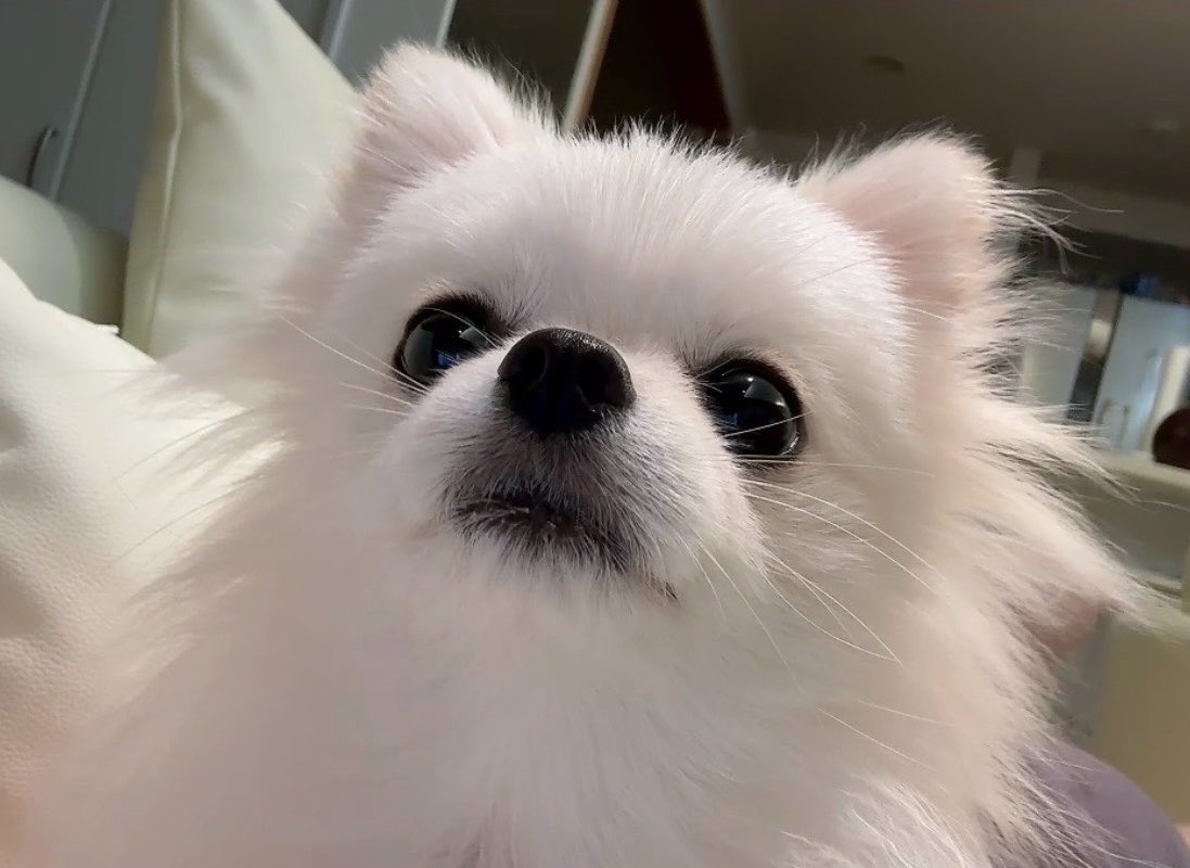 emaちゃん専用ページ えまちゃんってだいたいセリフ言った後にえへへ〜(*´∀｀*)って笑っ