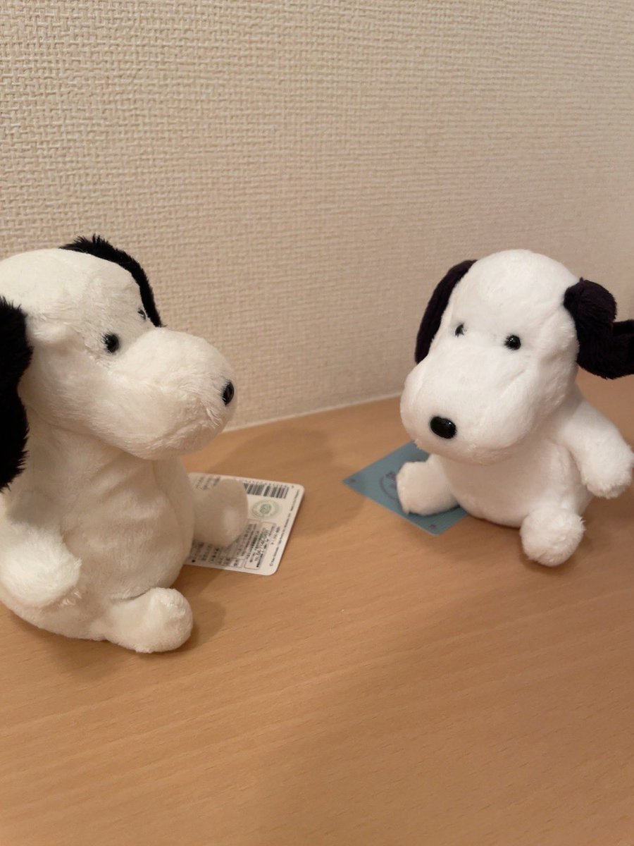 しろかった tweet media