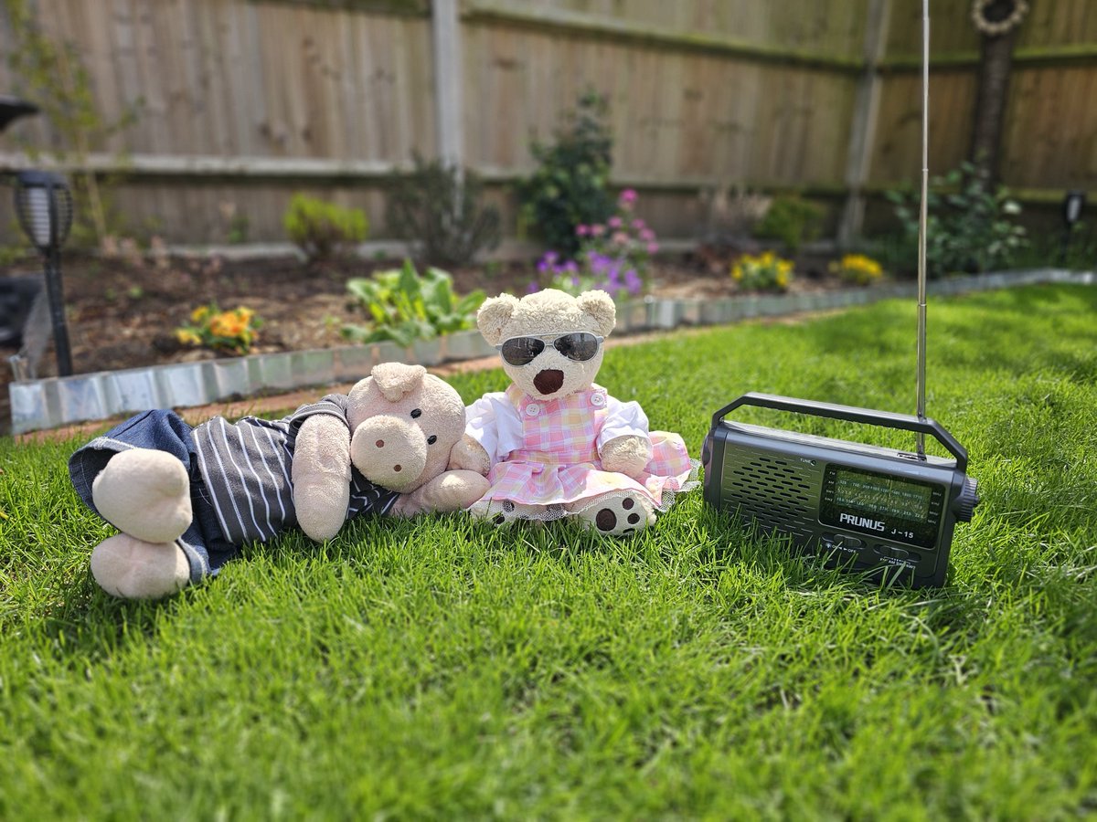 Nancy Bear tweet media