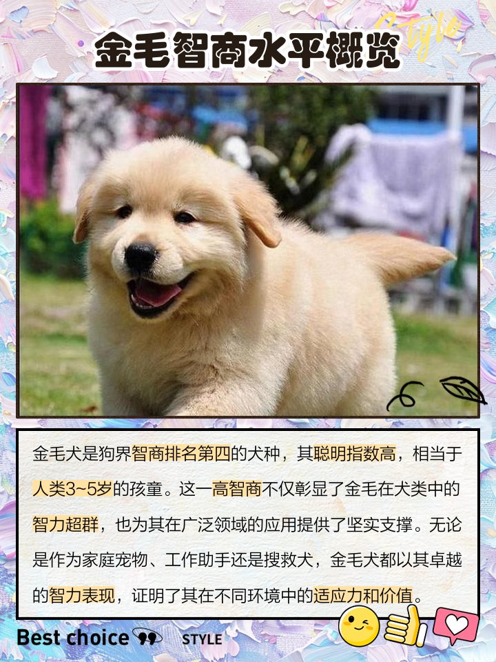 Fikri72043679's tweet photo. "Home isn’t a place—it’s the warm lap, wagging tail, and messy kisses of your fur baby. " https://t.co/vwZjmpeteN