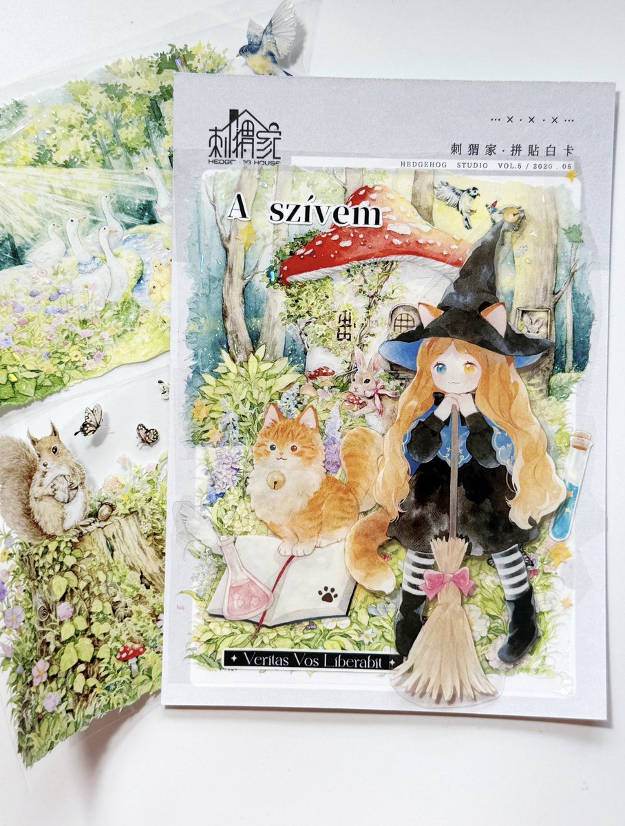 海外マステ　作家　まとめて 海外作家 fairylady 少女志 マステ メモ 8種セット - メルカリ