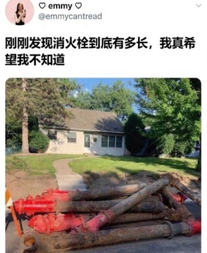 雲鳩 tweet media