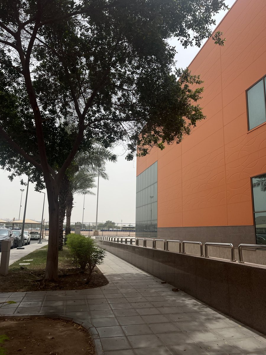 Masu🌧️🌊 tweet media