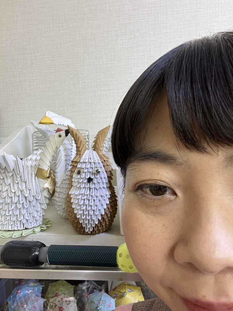 伊藤麻実子 tweet media