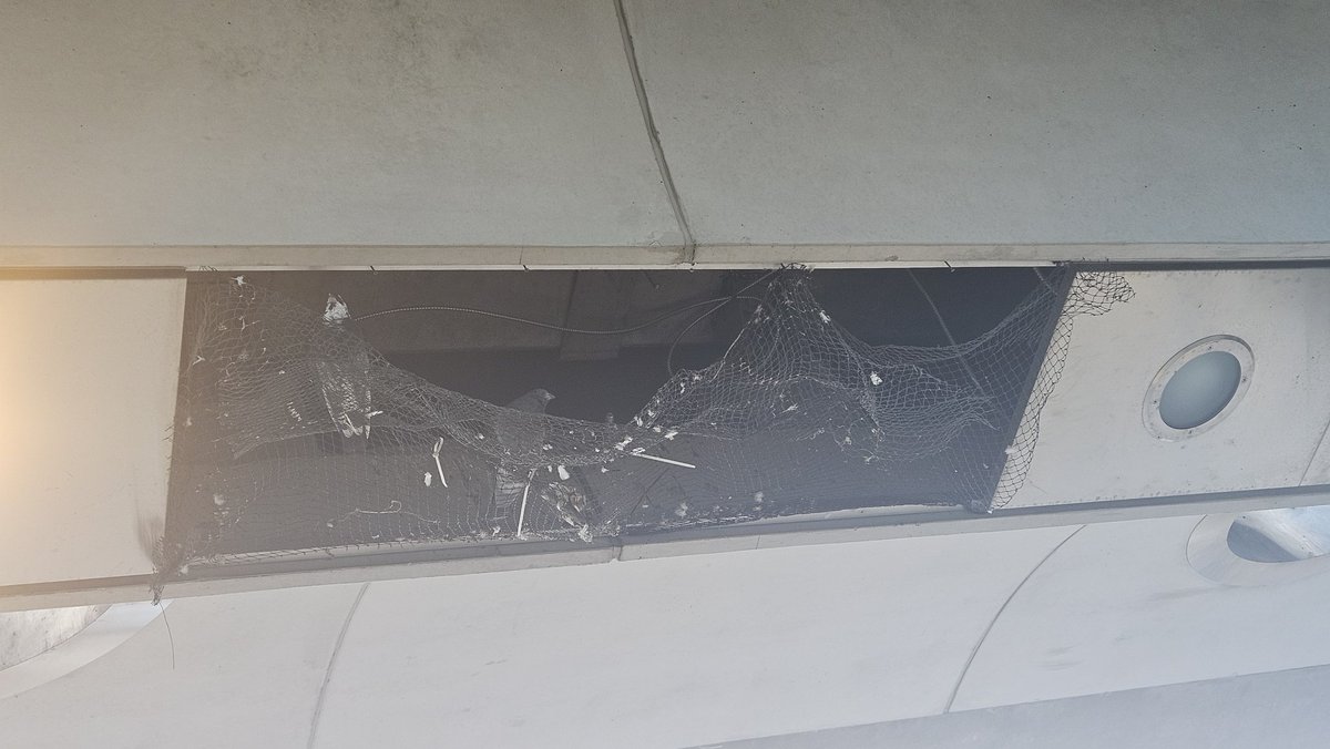 Mack_SAnarchy's tweet photo. Getting pooped on while waiting for my bus at Victoria Park Station @TTChelps https://t.co/DynnSLwArj