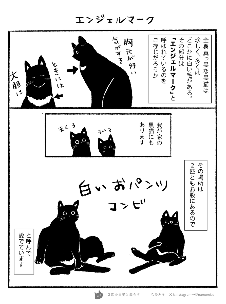 ネコ黒ページ 黒猫がより愛おしくなりますね