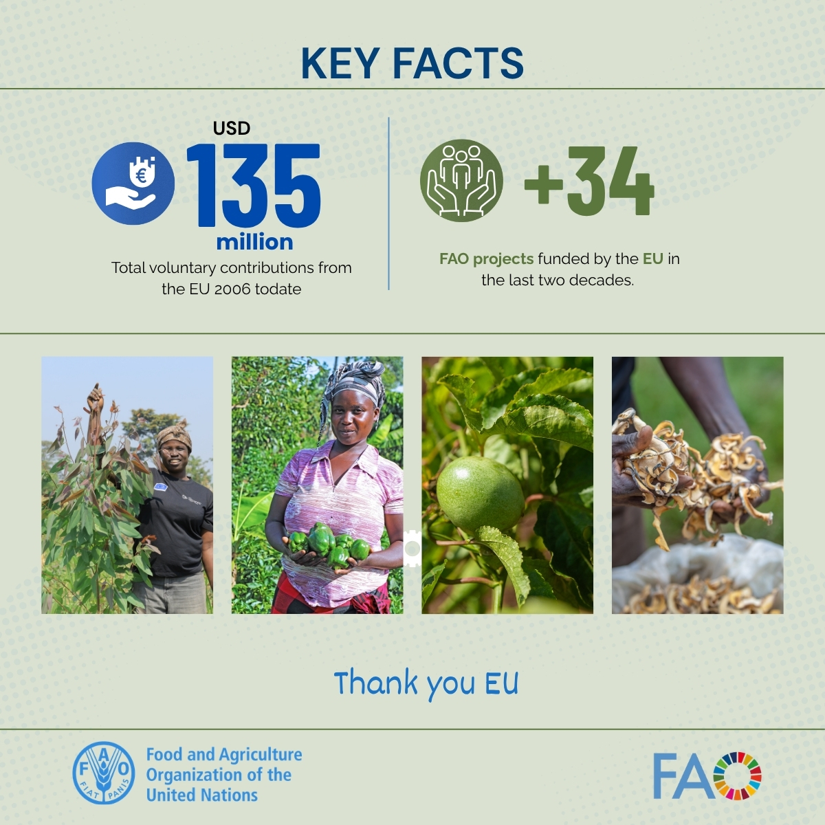 FAO in Uganda tweet media