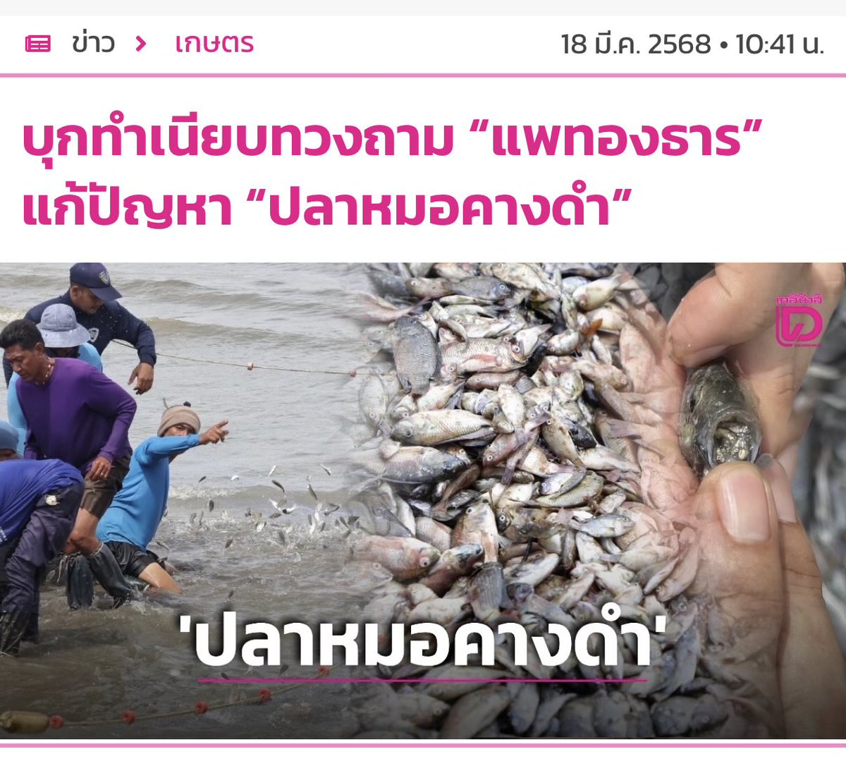 Clover tweet media