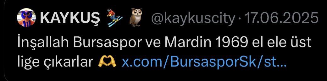 KAYKUŞ ⛷🦉 tweet media