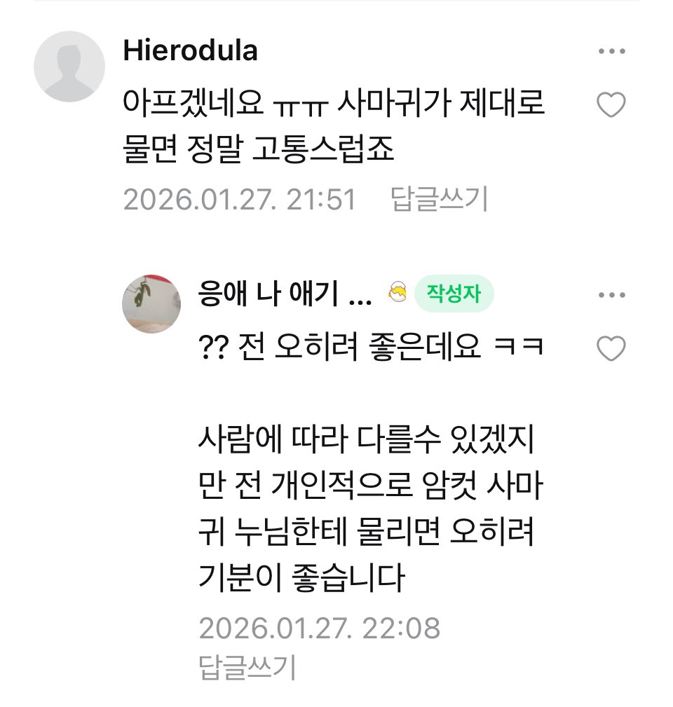 혼혈게이 tweet media