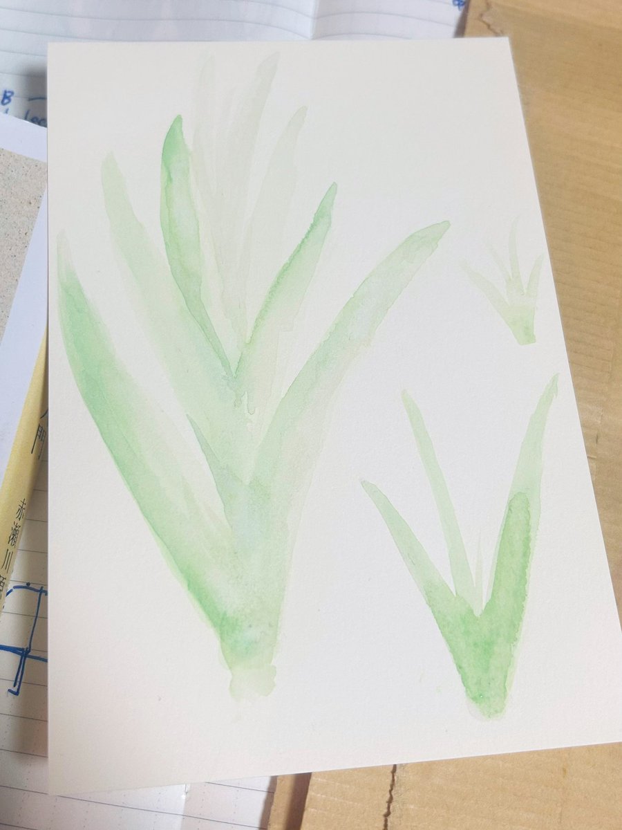 #365日植物ドローイング
ヤブカンゾウ