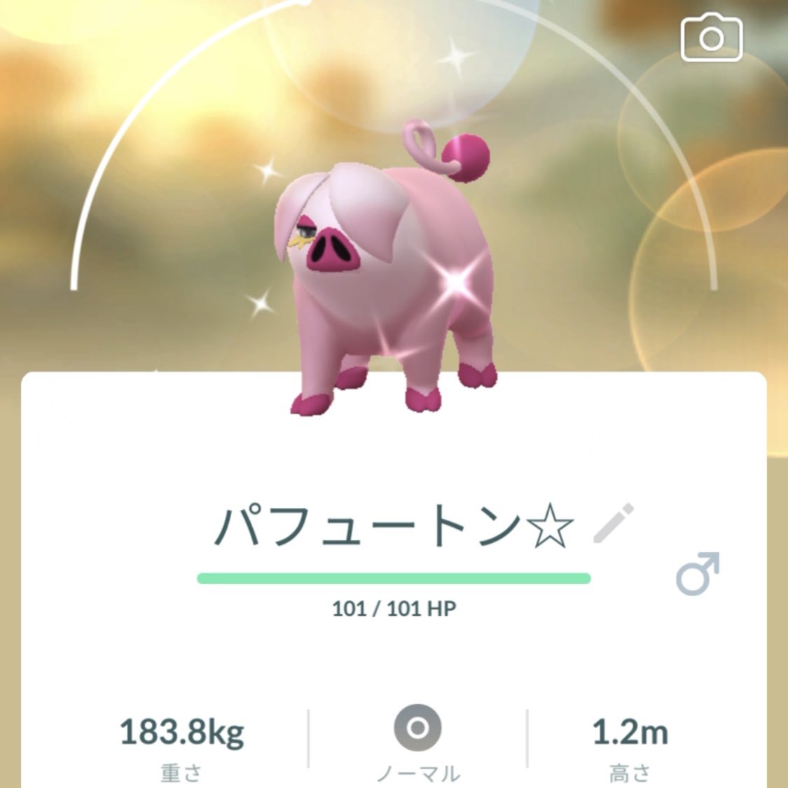 shitosama_101's tweet photo. グルトンのコミュニティ・デイ
🐷🐽
色違いオス・メスゲットで
パフュートンに進化⤴️
#ポケモンGO
#コミュニティ・デイ
#グルトン https://t.co/dxOJj9Dcq2