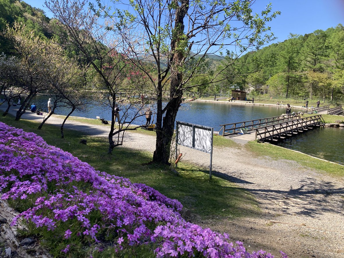 tsurimasha's tweet photo. 今シーズン初平谷湖!
やっぱりいいとこ!
#平谷湖
#zpi
#proarm https://t.co/hQKEeZjpjW