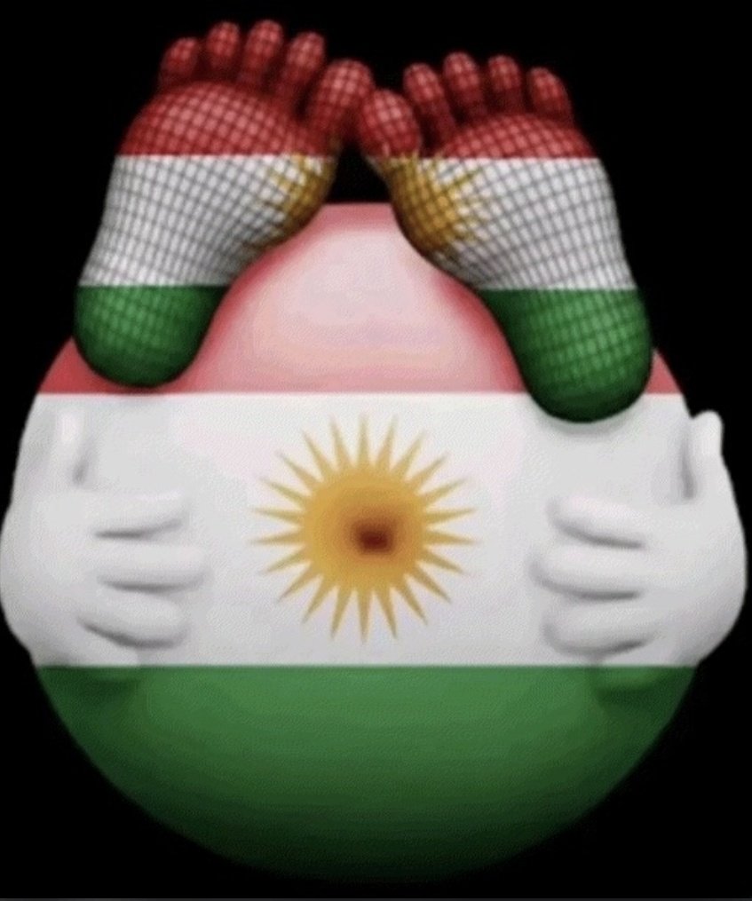 younesemr tweet media
