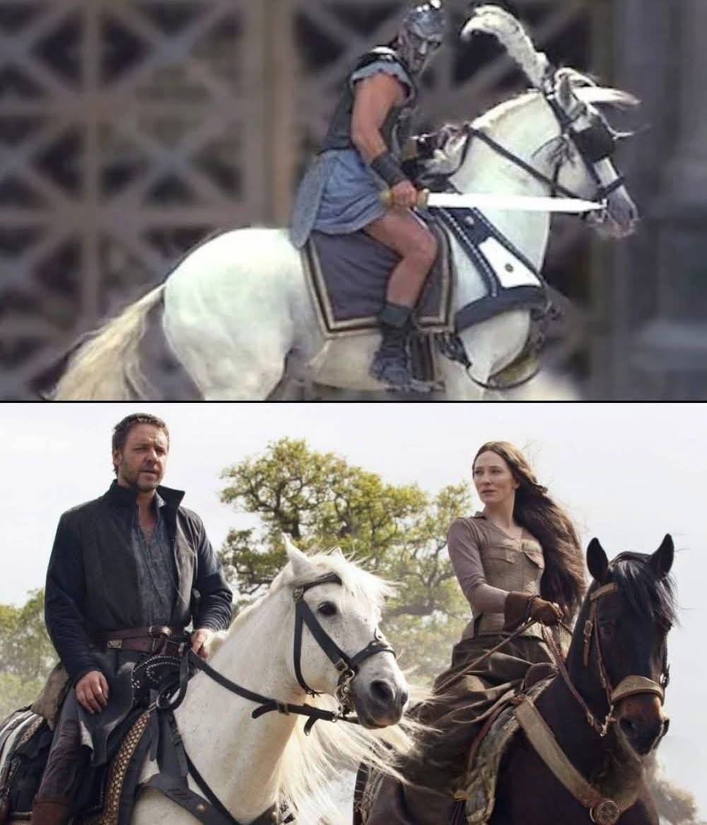MrPitbull07's tweet photo. During the filming of Gladiator, Russell Crowe spent months working alongside a horse named George.

Battle scenes. Long days. Endless takes in the heat and dust.

Actors and horses in films don’t just “work together.” They build routines based on trust.

Then filming ended.

Ten years passed.

In 2010, while filming Robin Hood, Crowe noticed a horse nearby that looked strangely familiar.

It was George.

A full decade later.

The horse wasn’t even assigned to him for the movie. But Crowe walked over anyway.

He had talked before with Liam Neeson about how animals remember people — voices, smells, movements, energy.

Now he was about to find out for himself.

Crowe approached quietly and simply said:

“Hello, George.”

The horse immediately lowered his head, walked toward him, and leaned against his chest.

No commands.  
No training cue.  
Just recognition.

Crowe later said it felt like no time had passed at all.

Then he bent down and whispered something that makes the story even better:

“We won an Oscar.”

He was talking about Gladiator winning Best Picture and the Oscar he received for Best Actor.

And somehow, in that moment, it felt like George had been part of the journey too.

Because horses remember.

Not the way humans do.

But they remember consistency. Familiar voices. Trust. The people who made them feel safe.

Those months together on set had left a mark.

Ten years later, George still carried it with him.