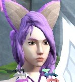 🌸👑 Dragy || Nya! ~ tweet media