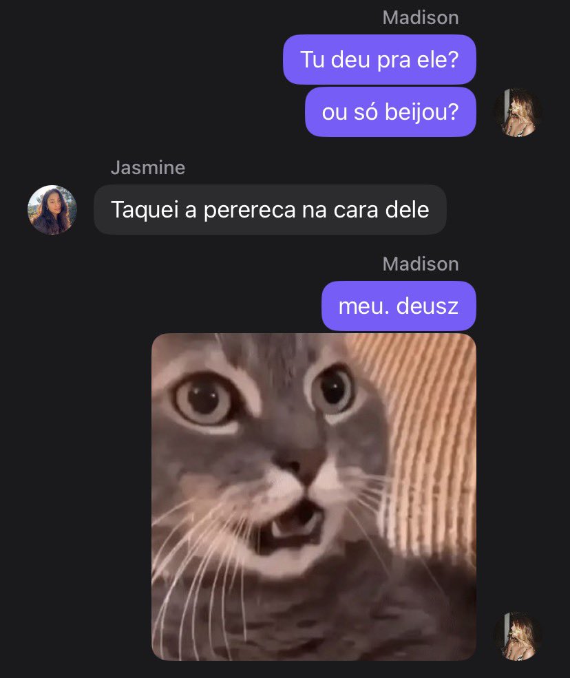 Foca Fofocando tweet media