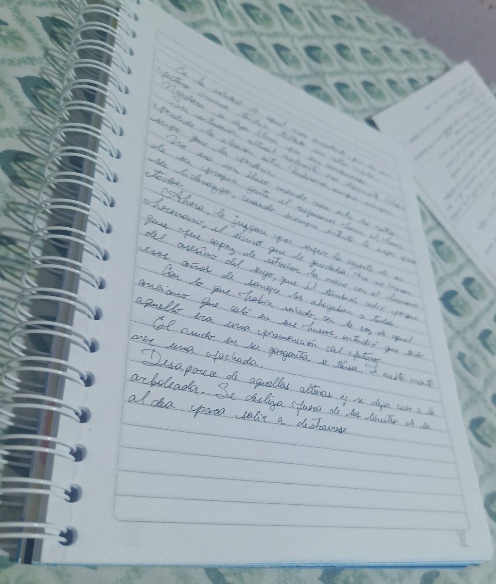 ˙✦ˑMissie 🍷 tweet media