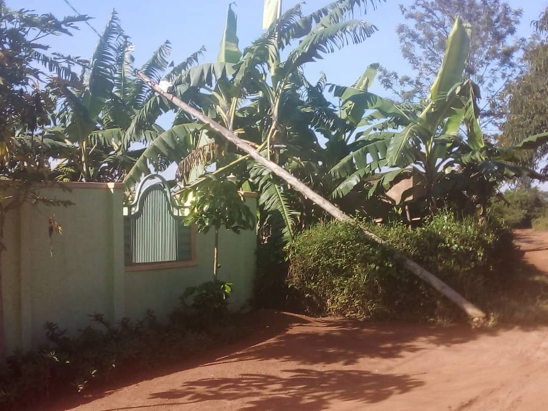 TheogeneNTIRE's tweet photo. @reg_rwanda ko twabuze umuriro kubera amapoto yahiritswe n'umuyaga ubwo  imvura yagwaga haricyo mudufasha? #nyamata,#Murambi https://t.co/YtEu9uoxIo