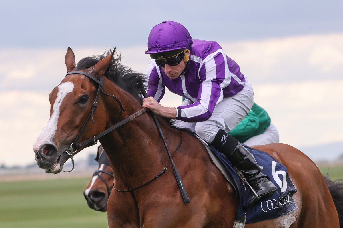 RacingPost's tweet photo. 🗣️ "Frankel has lived up to expectations and exceeded them," says Beeby. "They said he couldn't possibly be as good a stallion as he was a racehorse but he is. At the moment Frankel is absolutely gold dust in the sales ring"

In all the very best ways, Frankel has indeed proved himself to be a one-off. As a racehorse he was the best of the best. As a stallion, he has been superb, so much so that his 2026 covering fee was £350,000 💰

The reasons why are plentiful. Frankel, now 18 years old, has sired 40 Group 1 winners and 12 Classic winners. He is a two-time champion sire with 11 per cent Group winners to runners and 17 per cent black type winners to runners 📈

His finest progeny include Cracksman, Adayar, Alpinista and Minnie Hauk 👇